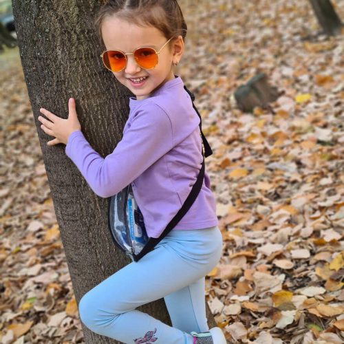 Дълъг клин костенурка